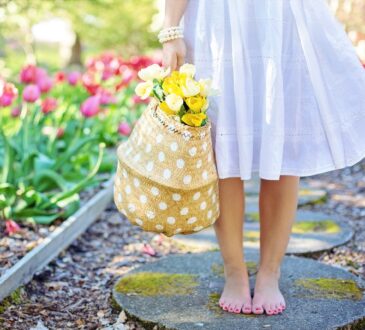 Affordable Backyard Landscaping Ideas