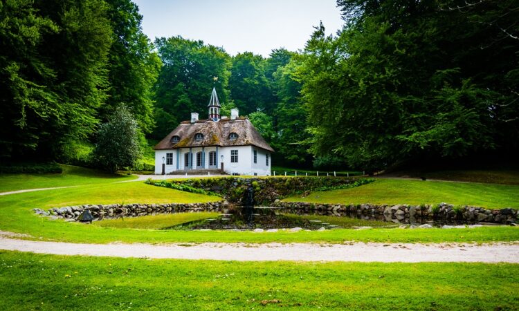 Amazing Landscaping Ideas