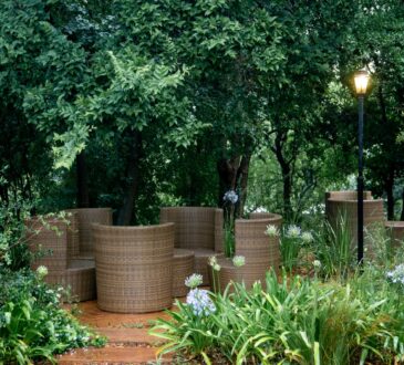 Arizona Backyard Landscape Design