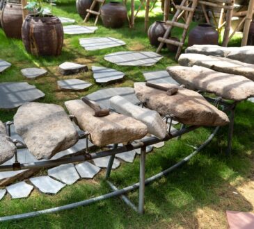 Arizona Backyard Landscaping Ideas