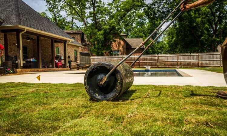 Arizona Landscaping Ideas for Small Backyard