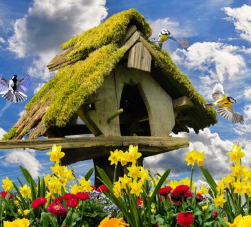 Artificial Turf Landscaping IDEAS