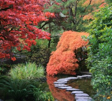 Asian Landscaping Ideas