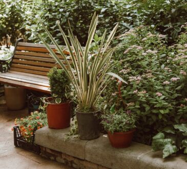 Backyard Ideas for Small Yards Landscaping