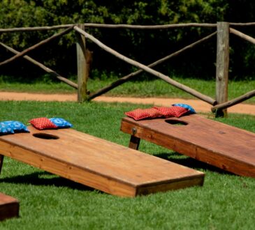 Backyard Landscape Design on a Budget
