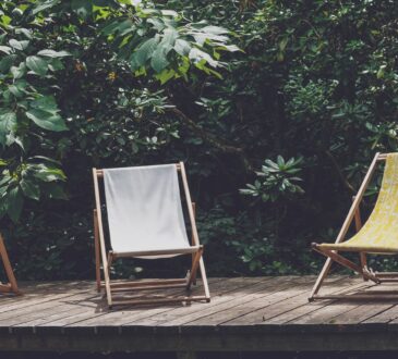 Backyard Landscape Ideas on a Budget