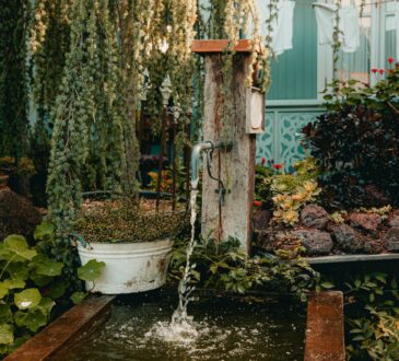 Backyard Landscaping Ideas with Stone
