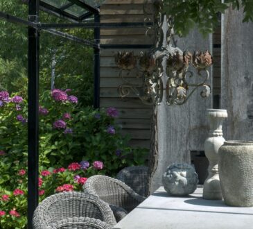 Backyard Patio Landscaping Ideas