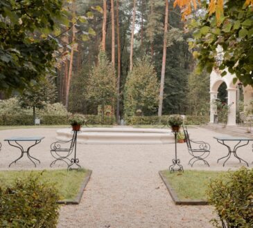 Backyard Trees Landscaping Ideas