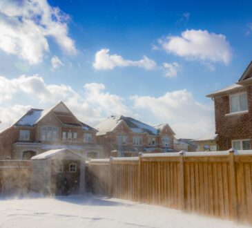 Basic Backyard Landscaping Ideas