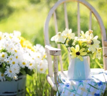 Best Backyard Landscape Design