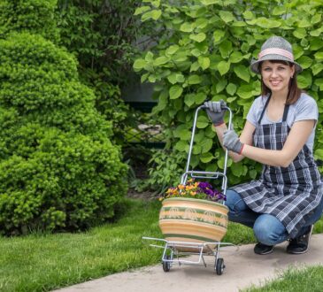 Best Backyard Landscaping IDEAS