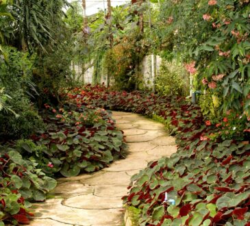 Better Homes and Garden Landscape Design