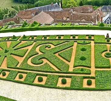 Border Ideas for Landscaping