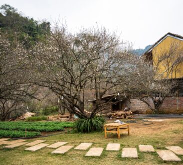 Budget Backyard Landscaping Ideas