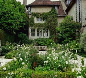 Bush Ideas for Landscaping
