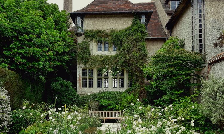 Bush Ideas for Landscaping