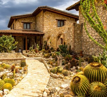 Cactus Landscaping Ideas