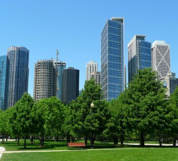 Chicago Landscape Design