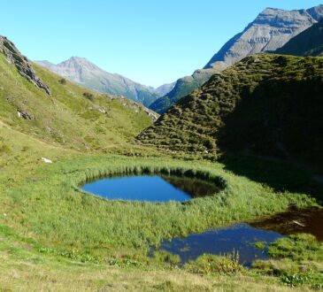 Circular Landscape Design