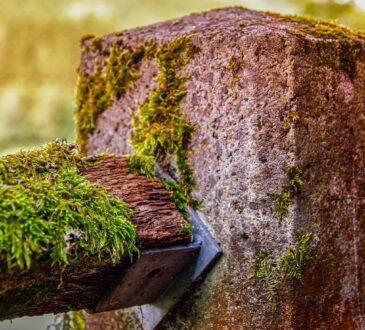 Concrete Landscape Design