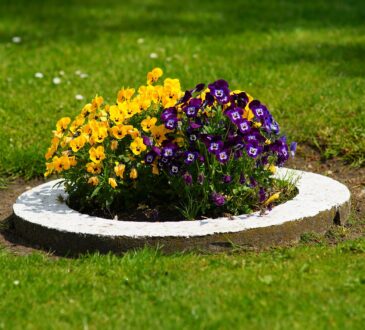 Container Landscaping Ideas