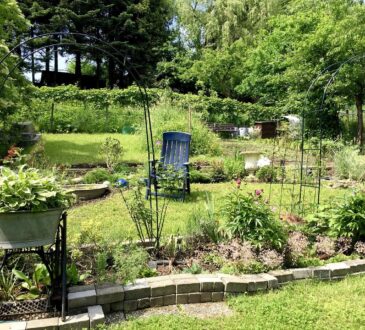 Courtyard Landscape Ideas