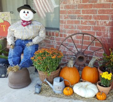 Curb Appeal Landscaping & Design