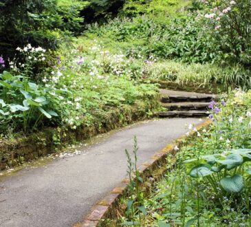 Curbing IDEAS for Landscaping