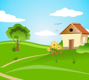 Custom Design Landscaping