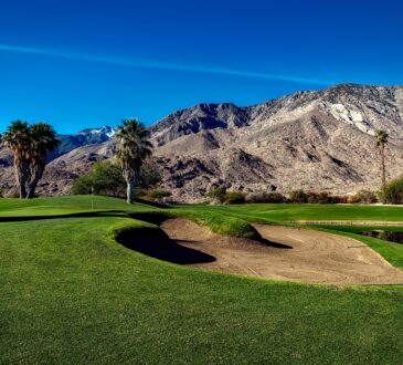 Desert Landscape Design Palm Springs