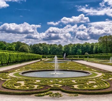 Design and Garden Landscape