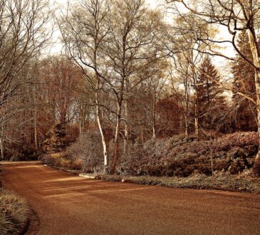 Driveway Entrance Landscaping Design