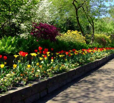 Driveway Entry Landscaping IDEAS