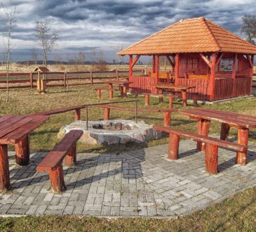 Fire Pit Landscaping IDEAS Pictures