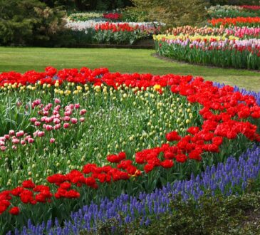 Flagpole Landscaping Ideas