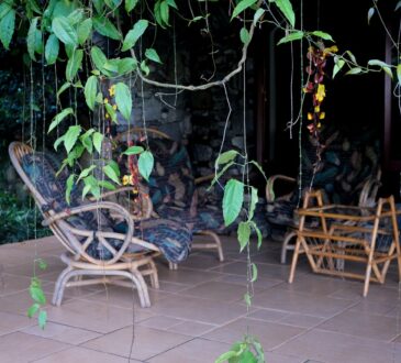 Florida Landscaping Ideas for Backyard