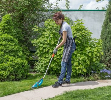 Front and Backyard Landscaping IDEAS