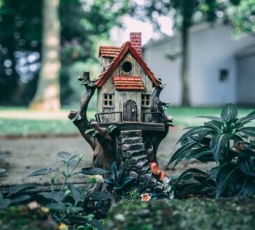 Fun Backyard Landscaping IDEAS