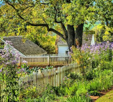 Garden Design Landscaping IDEAS