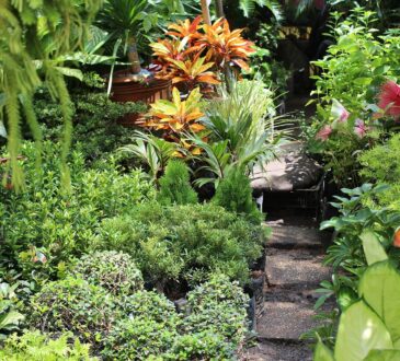 Garden Landscape Design Philippines