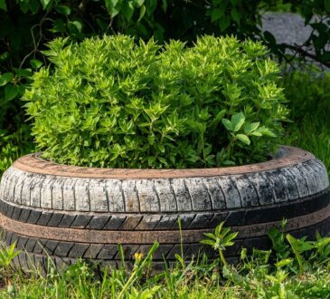 Garden Landscape IDEAS for Small Spaces