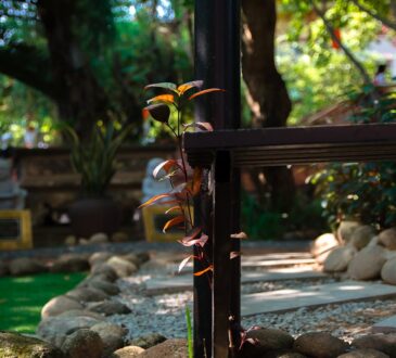 Garden Landscaping IDEAS Low Maintenance