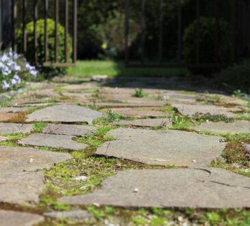 Gardening and Landscaping IDEAS