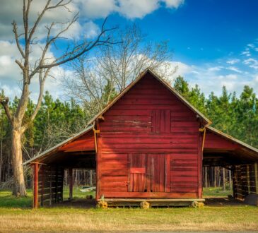 Georgia Landscape Design