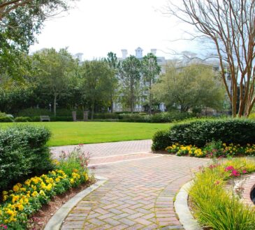 Grass Ideas Landscaping