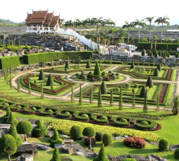 Great Landscape Ideas