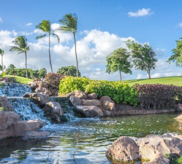 Hawaii Landscape Design
