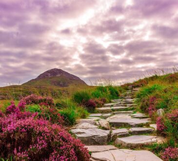 Hill Landscaping IDEAS Pictures