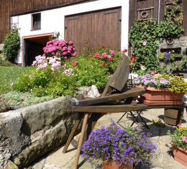 Home Depot Landscaping Ideas